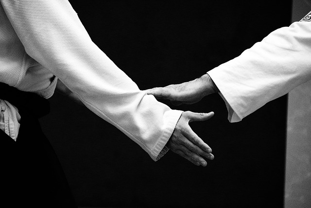 Two individuals holding hands in a black and white photo, preparing for martial arts.