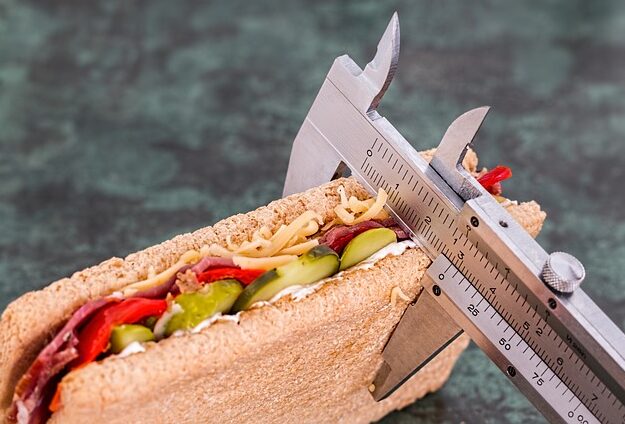 A sandwich with a variety of vegetables and meat is being measured for its size.