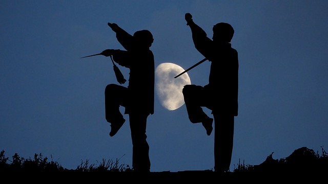 Two people practicing tai chi, their silhouettes elegantly framed against the moon.