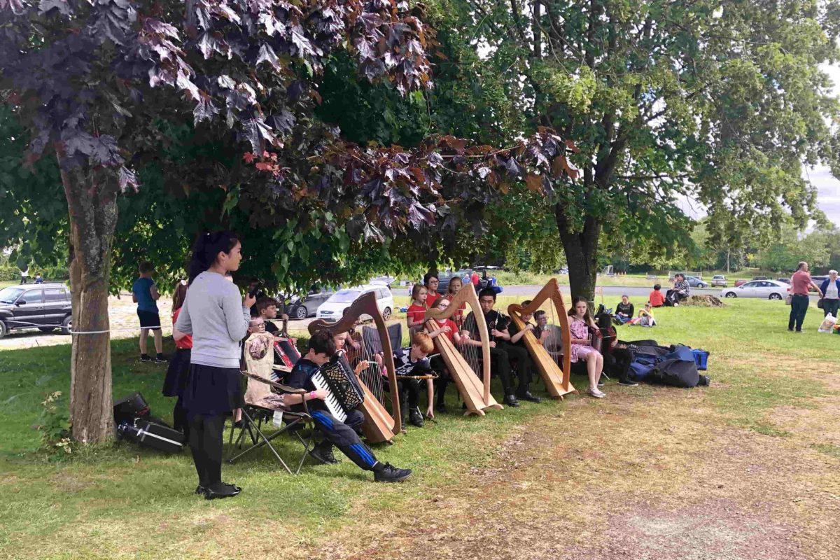 A diverse group of musicians sitting on the grass, playing their instruments with passion and harmony.