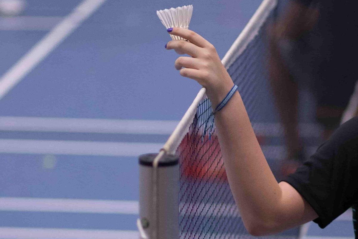 A person holding a shuttlecock over the net on a badminton court.